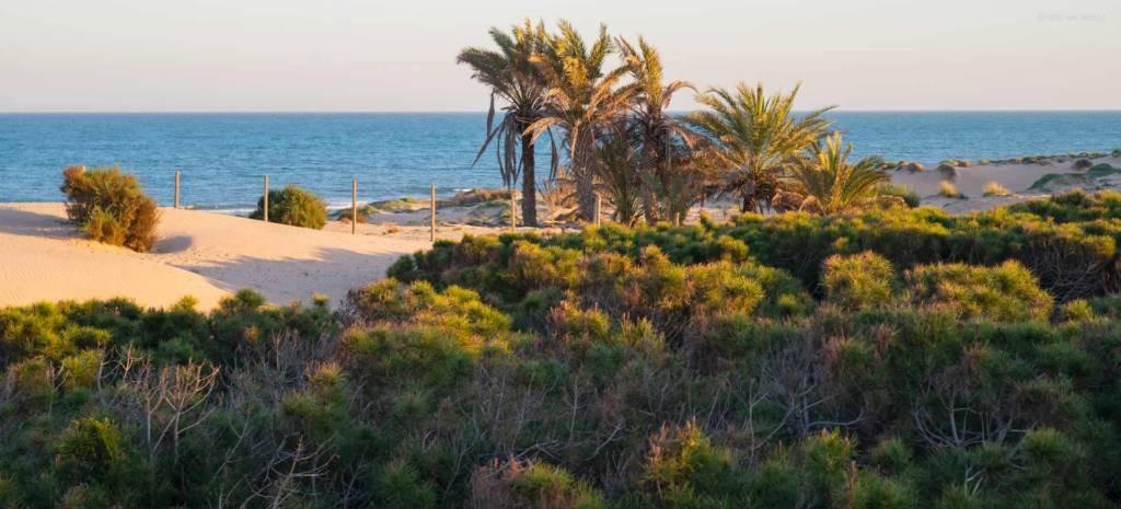 Ático junto al mar Mediterráneo