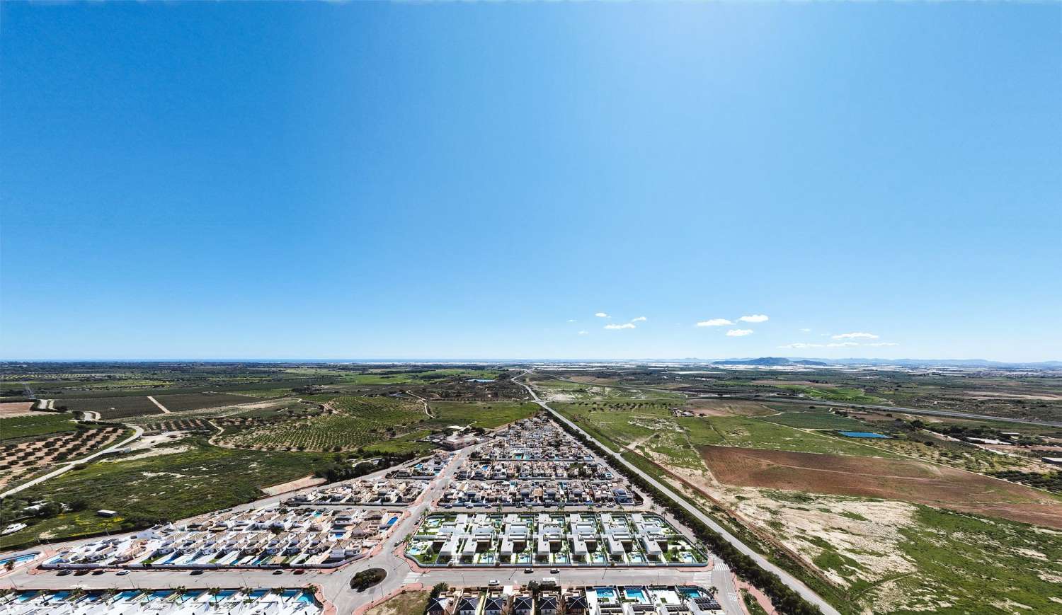 TERRA OLIVA
