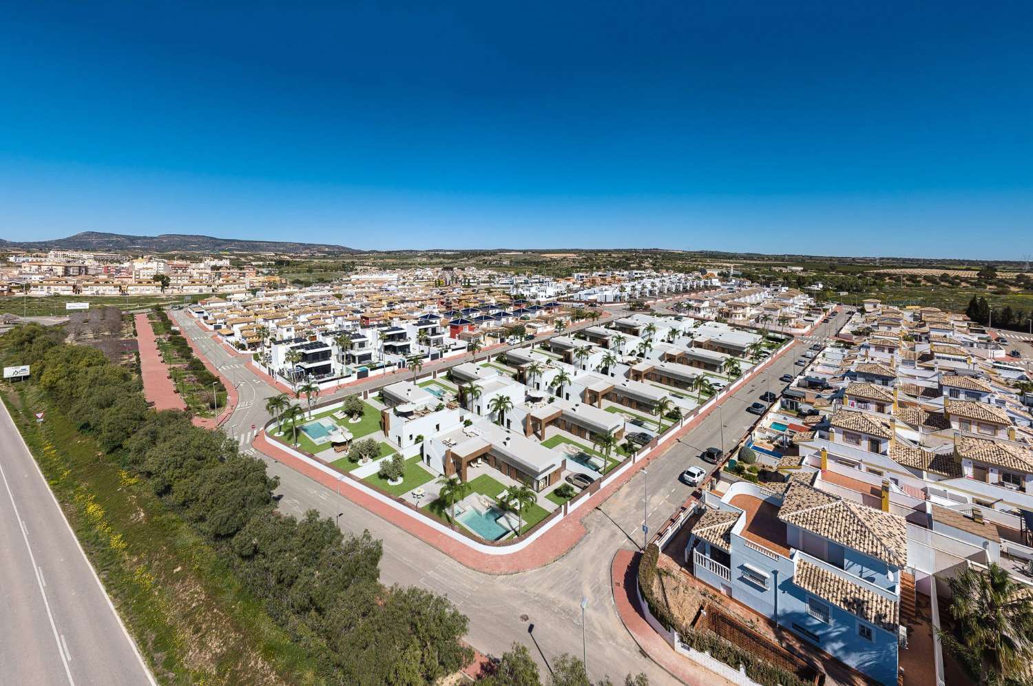 TERRA OLIVA