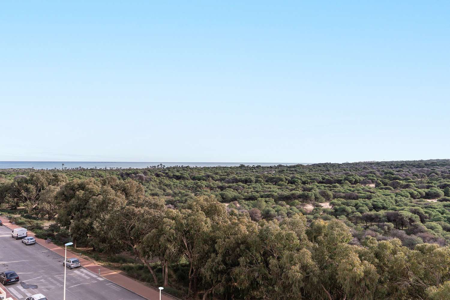 Apartamento de temporada en Guardamar Playa (Guardamar del Segura)