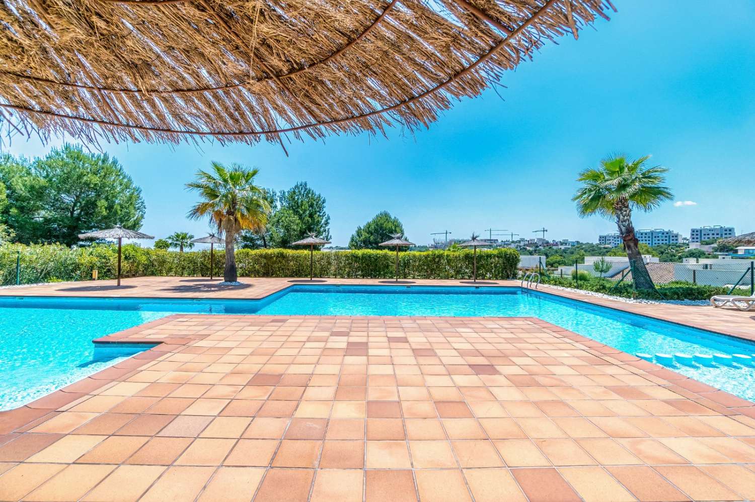 квартира в продаже в Campoamor (Orihuela)