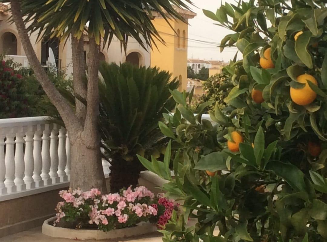 Вилла в аренде в Villamartín-Las Filipinas (Orihuela)