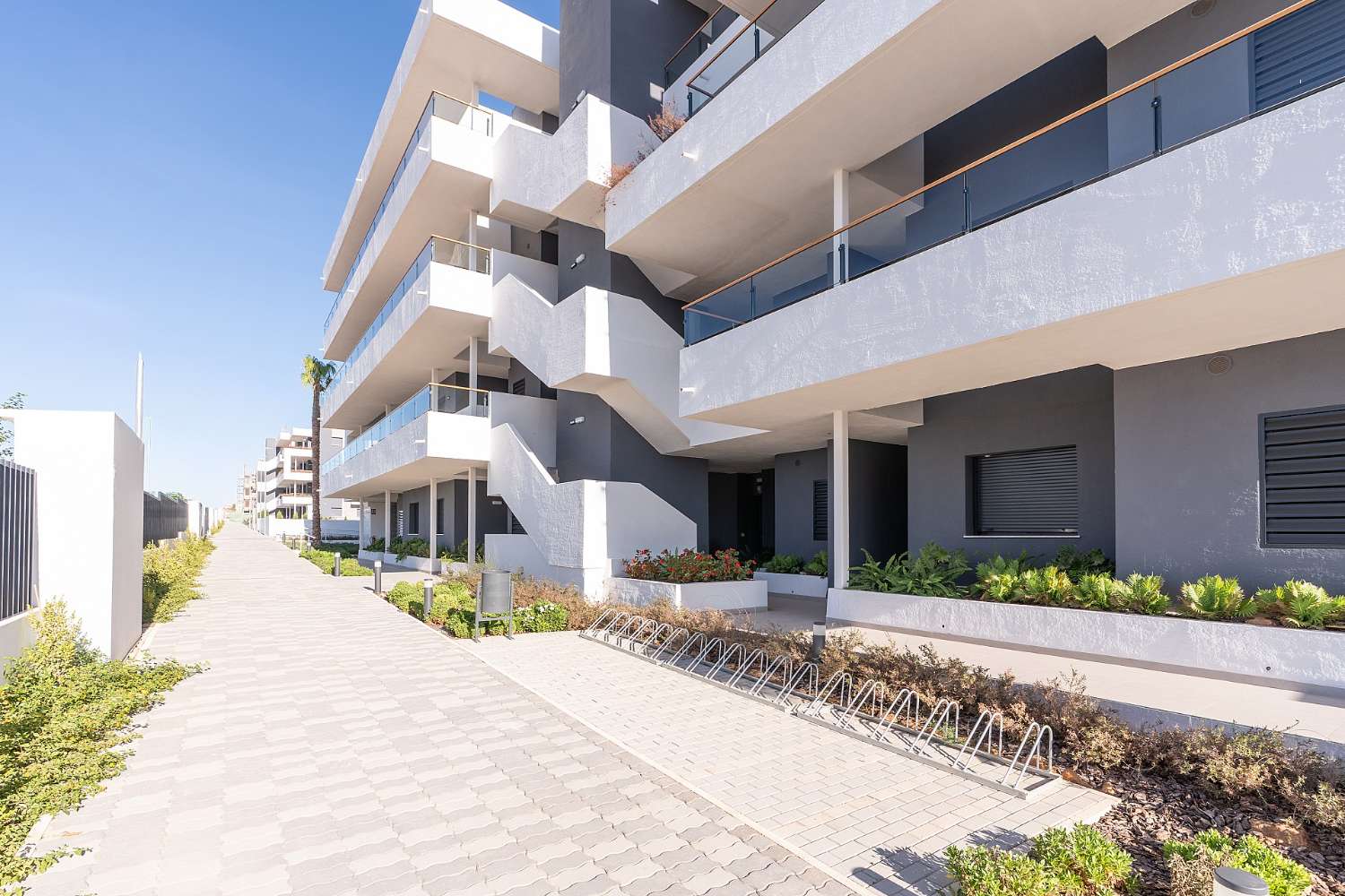 Apartment seasonal in El Chaparral (Torrevieja)