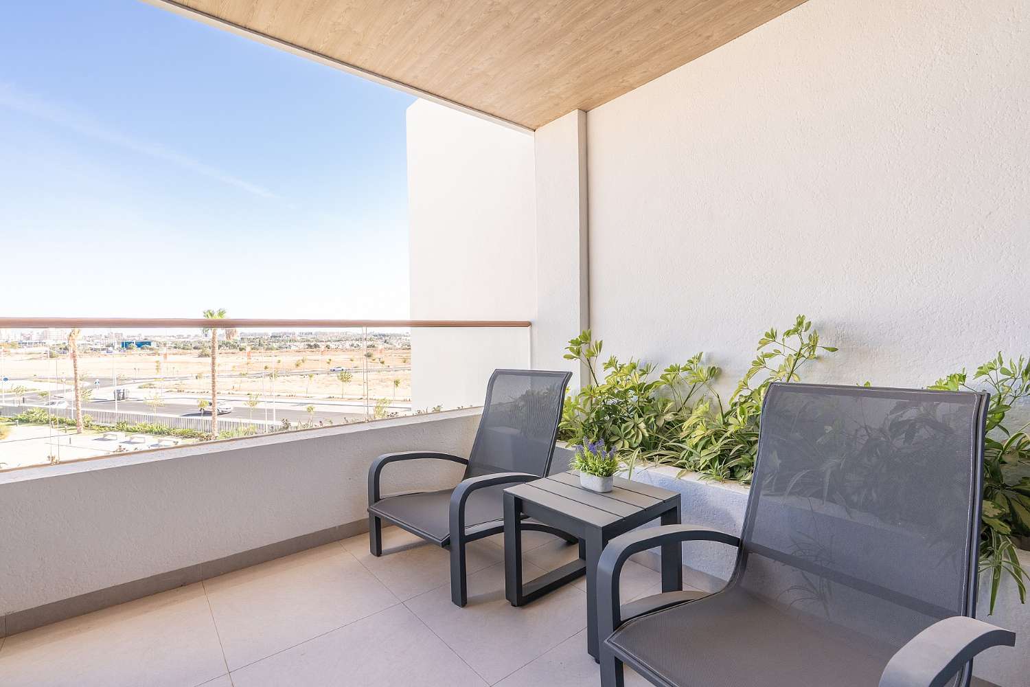 Apartment seasonal in El Chaparral (Torrevieja)